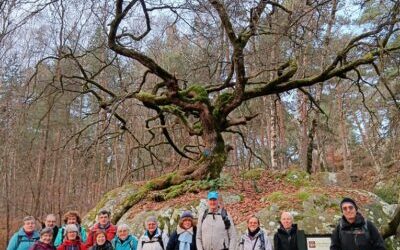 Fontainebleau-Denecourt