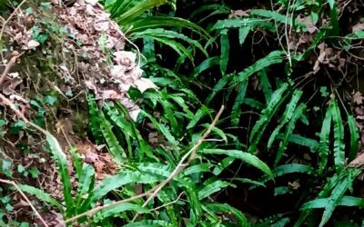 D’Huisson à Boutigny