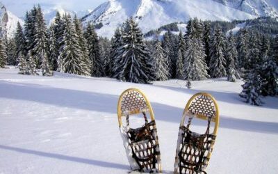 Séjour Raquettes Massif des Aravis